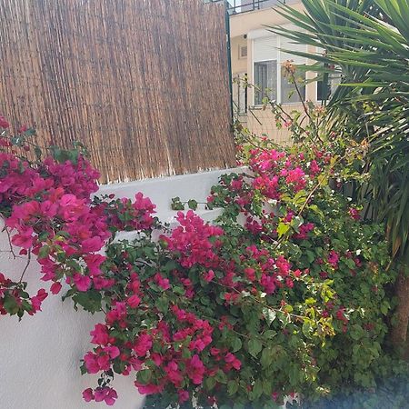 Apartment With Private Garden - Central Location Lisboa Extérieur photo