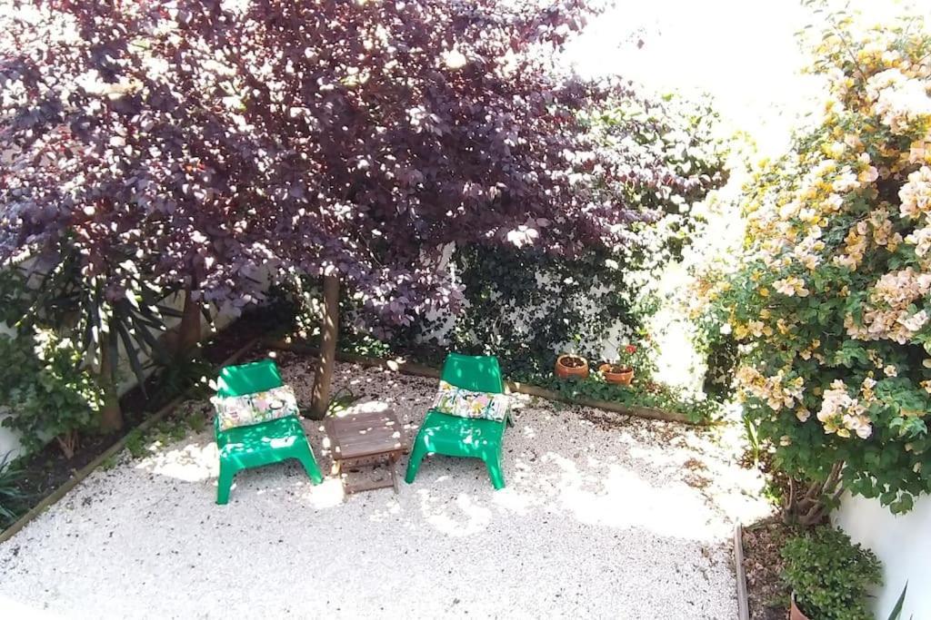 Apartment With Private Garden - Central Location Lisboa Extérieur photo