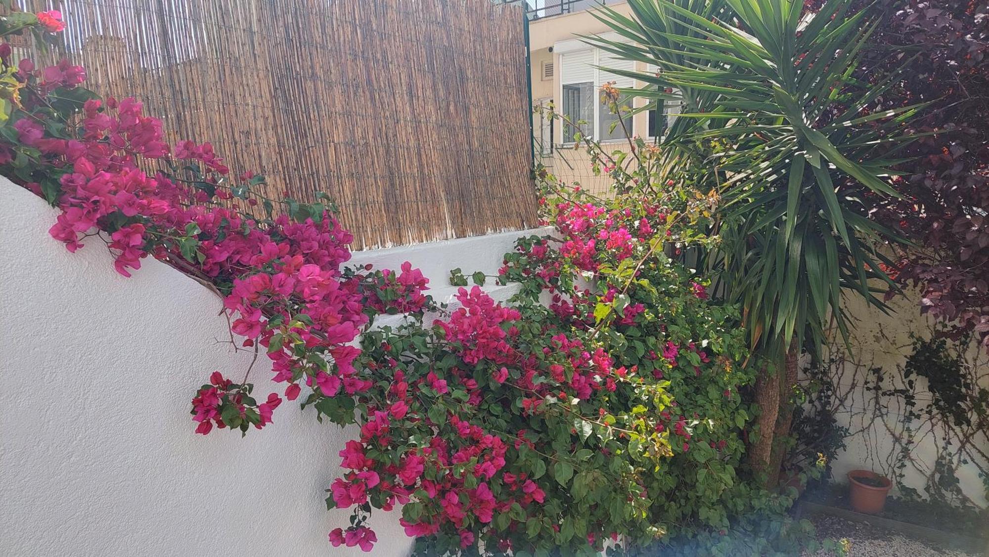 Apartment With Private Garden - Central Location Lisboa Extérieur photo